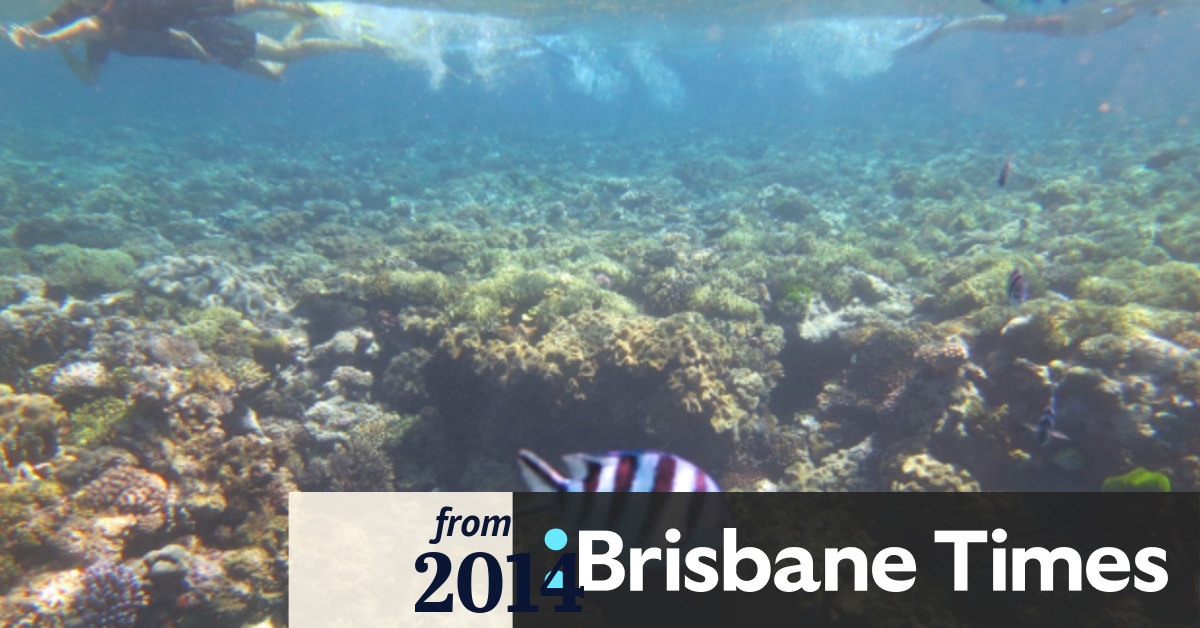 Climate change biggest Great Barrier Reef threat: report